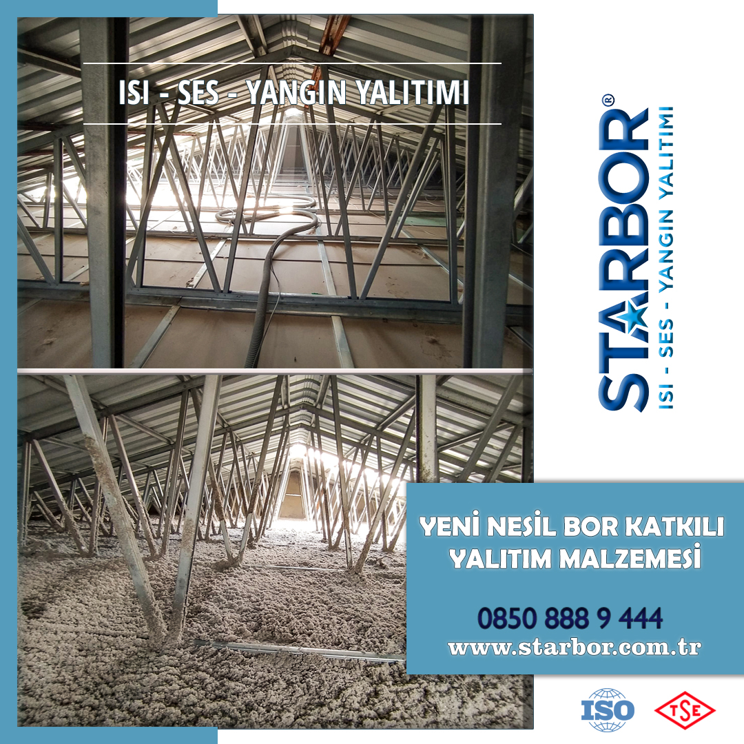Starbor 13